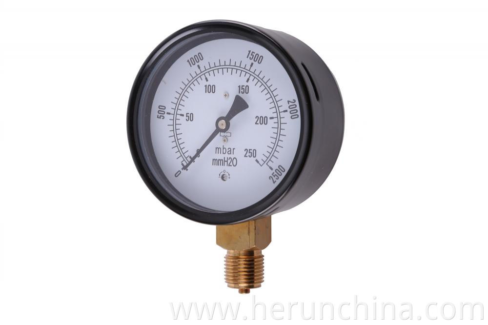 Capsule Pressure Gauge Jpg